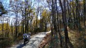 IMG_20201110_150114.jpg