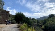 IMG_4331.jpg