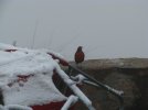 IMG_1145.JPG