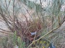 20201013_082859.jpg