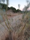 20201013_082946.jpg