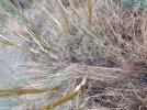 20201013_082953.jpg