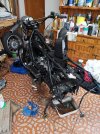 IMG_20201125_130641.jpg