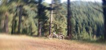 20201128_101025.jpg