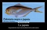 japuta.jpg.cf.jpg