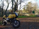 IMG_20201116_170252.jpg