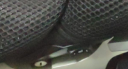 1607526197666.png