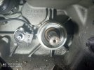IMG_20201121_183431.jpg