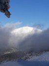 20201209_134905.jpg