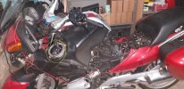 20201206_004954 1.JPG