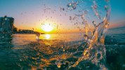 595E7050-27DB-443D-83C4-B604EE794F6D.jpeg