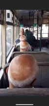 1608197098343.png