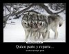 lobos_3.jpeg