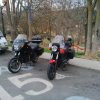 IMG_20160103_093736.jpg