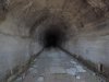 DSCN5424.jpg