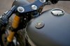 harley-davidson-street-750-cafe-racer-rajputana-custom-4.jpg