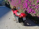 IMG_20201226_110405.jpg