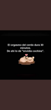 1609506210825.png