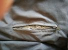 IMG-20191017-WA0010.jpg