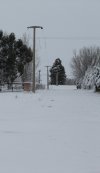 DSC01892-e.jpg