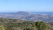 IMG_4559.jpg