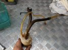 IMG_20200912_181857.jpg