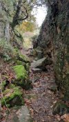 IMG_20201212_125658.jpg