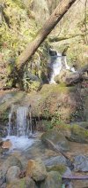 20210214_120556.jpg