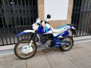 suzuki.jpg