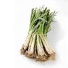calçot.jpg
