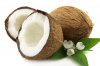 cocos.jpg