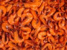 la-quisquilla-la-gran-desconocida-que-te-enamorara-este-verano.jpg