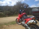 IMG_20210310_133044.jpg