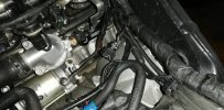 IMG_20210314_172638.jpg