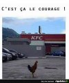 courage.jpg