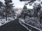 IMG_20210320_103924890.jpg