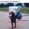 conseil.jpg