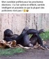CANDIDAT.jpg