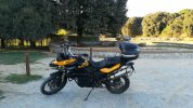 Bmw rider.jpeg