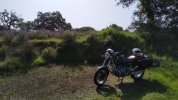 IMG-20210328-WA0002.jpeg