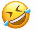 1617021253793.png