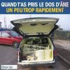 DOS D ANE.jpg