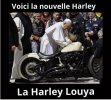 HARLEY.jpg