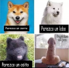 1617994011057.png