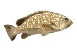 1618049387391.png