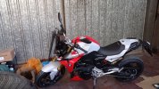 IMG-20210403-WA0017.jpeg