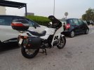 dama blanca (330).jpg