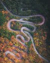 Autumn Snake” por Hiroki Nose. Esta es una fotografía aérea de un camino de montaña en Hakone,...jpg