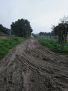 IMG_20201219_125005_753.jpg