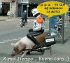 Sin título.jpg